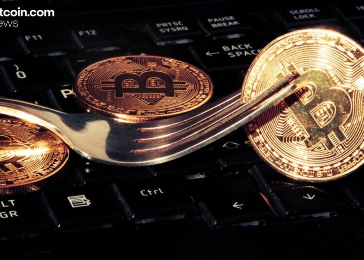 Knots Developer Luke Dashjr Plans Hard Fork To ‘Save Bitcoin’