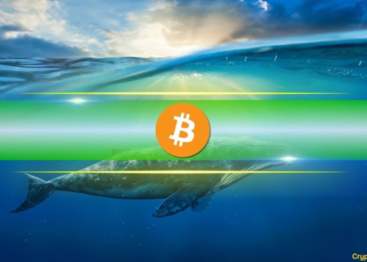 Dormant for 12 Years, Early Bitcoin Wallet Transfers 400 BTC Worth $44 Million