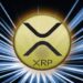 CME Unleashing XRP Options After $16B Futures Rally Signals Strong Institutional Demand