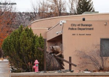 Dating-App Deception Leads to $1.4M Crypto Loss — Colorado Bureau of Investigation Sounds Alarm