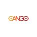 Cango Inc. Reports Second Quarter 2025 Unaudited Financial Results
