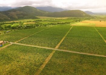 Georgia Secures $100M Partnership to Advance Tokenized Real‑World Asset (RWA) Agriculture