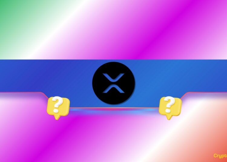 Is a Mega Ripple (XRP) Price Rally Coming Soon? What are Whales up to?