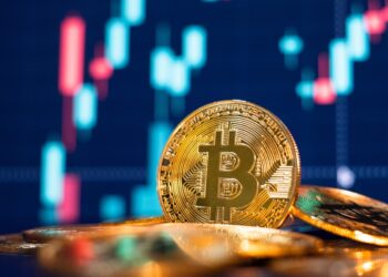 Bitcoin Whales Double Down as Institutional Confidence Soars