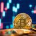 Bitcoin Whales Double Down as Institutional Confidence Soars