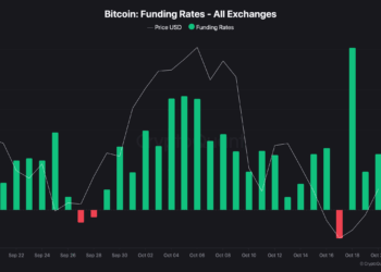 Bitcoin Hits Key Support: Bull Run or Bull Trap?