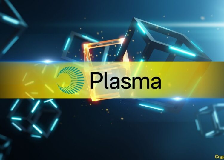 Plasma CEO Denies XPL Token Sale Rumors
