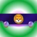 Shiba Inu (SHIB) to Hit New ATH in 2025? (This Analyst Believes so)