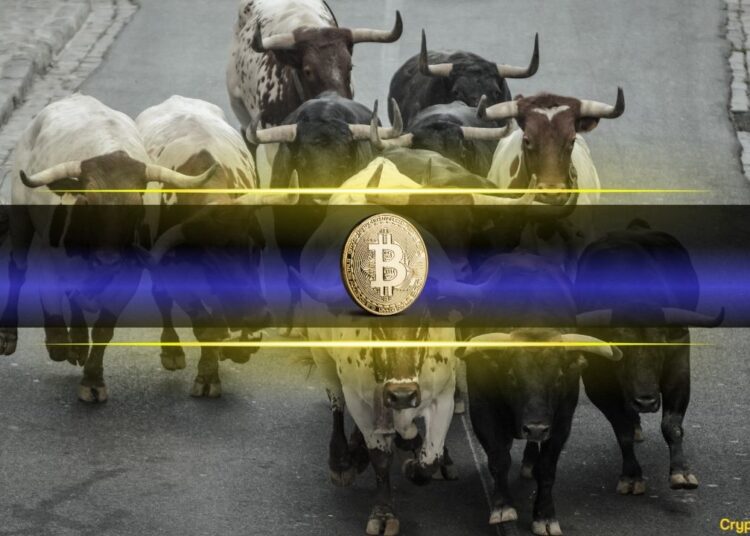 Analyst Predicts $300K Bitcoin Peak Despite Bearish Mood
