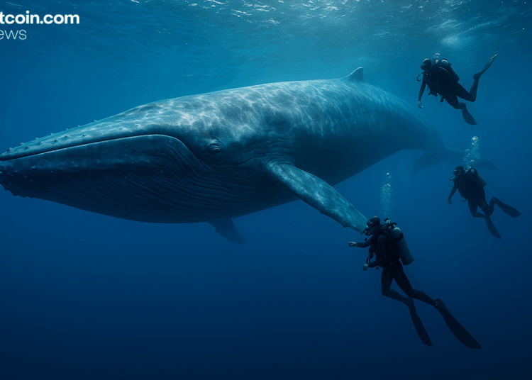 Bitcoin Whale’s $300M Transfer Sparks Speculation After Kraken Hot Wallet Transaction Goes Viral
