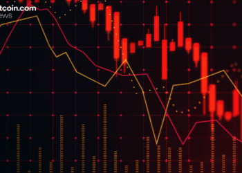 Surviving the Crash: XBO.com Founder Urges Discipline in Volatile Crypto Markets