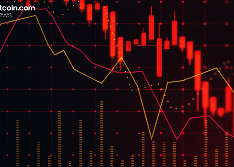 Surviving the Crash: XBO.com Founder Urges Discipline in Volatile Crypto Markets