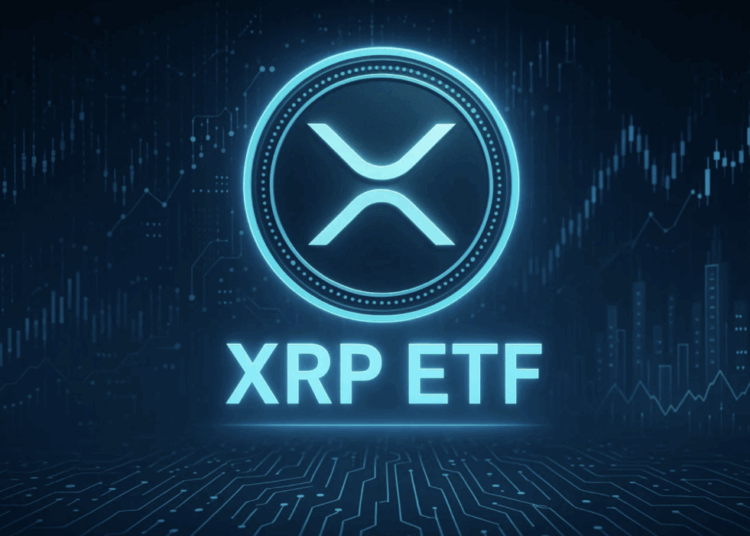 Spot XRP ETF May Launch November 13 After Canary Capital Removes Delaying Amendment