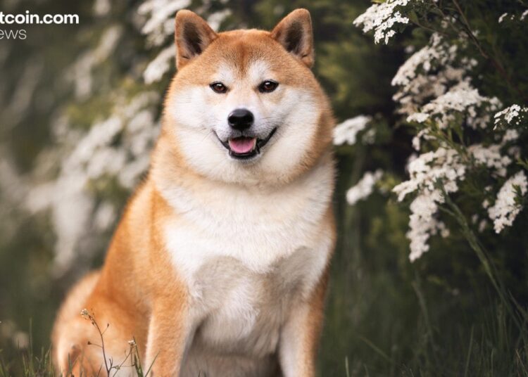 Bitwise Debuts Dogecoin ETF on NYSE With Fee Incentives and Mainstream Appeal