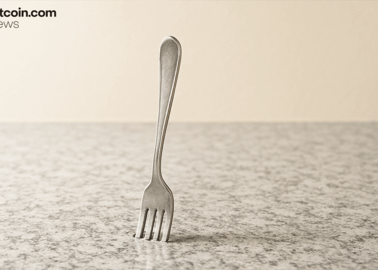 Developer Flags Major Risks in Proposed Bitcoin Reduced Data Soft Fork