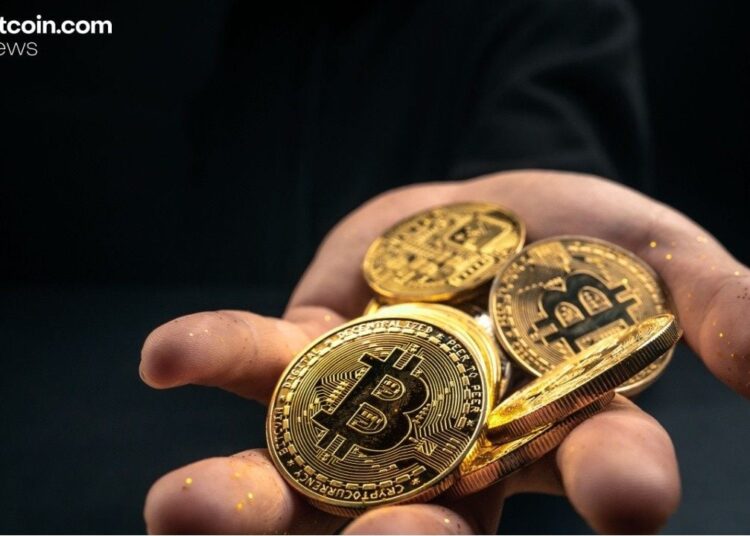 Legacy Wallets Drive Bitcoin’s November Pullback