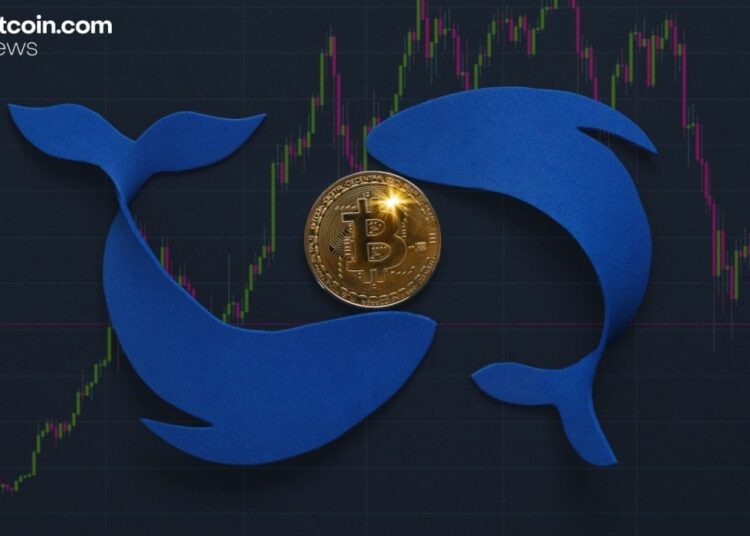 Bitcoin Tumbles Below $100K Amid Sell-Off by Long-Term ‘OG’ Whales