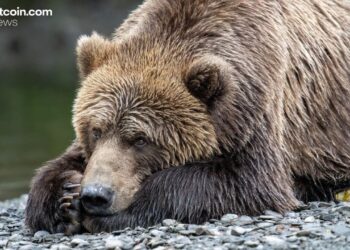 Van Eck: Investors Shed Bitcoin Bracing for a Bearish 2026