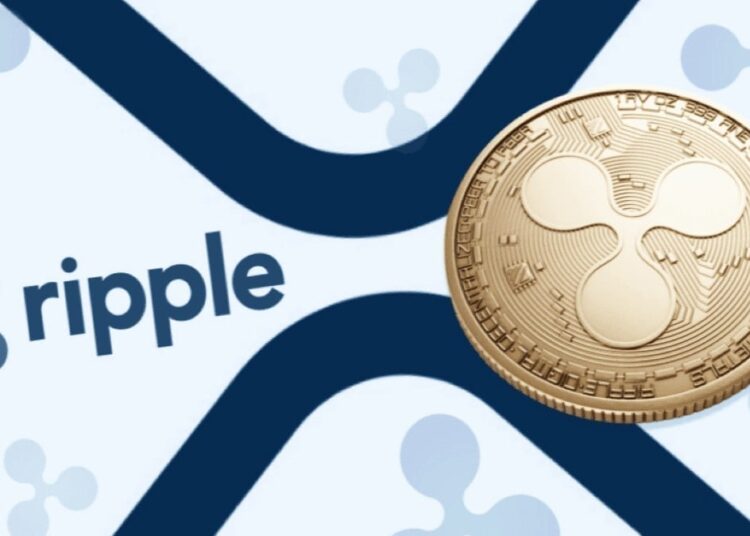 VanEck Exec Flags ‘Weak Utility Case’ for XRP Despite Market Visibility