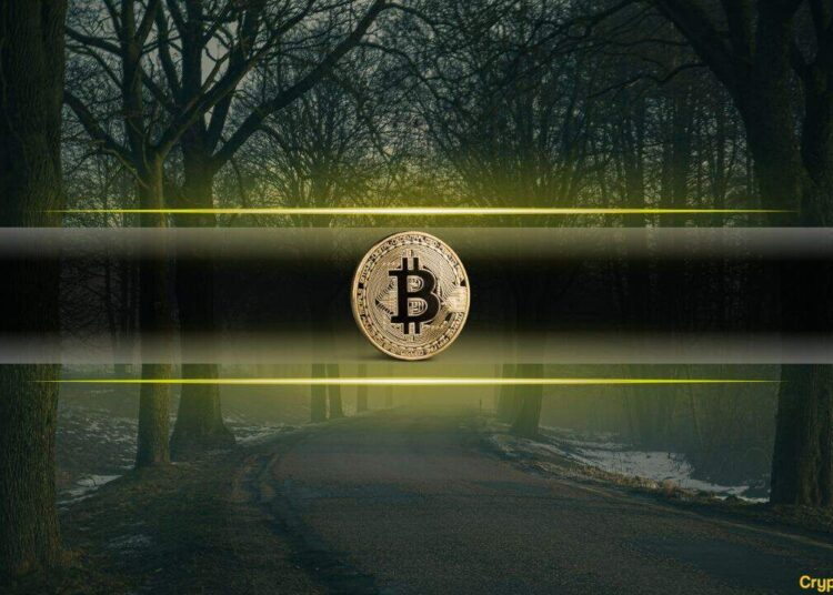 Bitcoin’s Struggle at $100,000 Reveals Underlying Market Stress