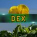 DEXs Hit All-Time High of $419 Billion Volume Despite Market Corrections: CoinGecko