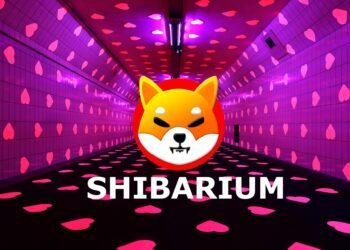 Shiba Inu Sleuth Uncovers Shibarium Hack Money Trail