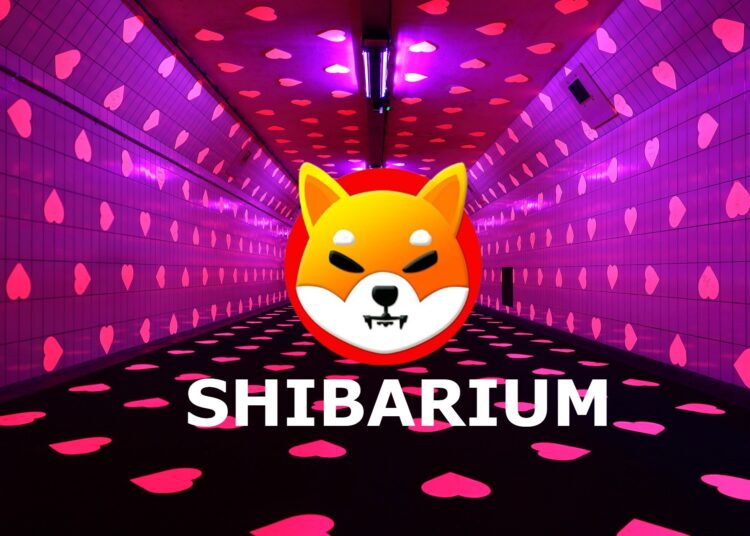 Shiba Inu Sleuth Uncovers Shibarium Hack Money Trail