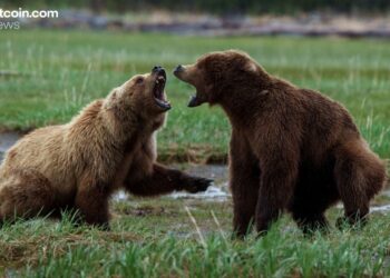 Bitcoin Loses $90K, Bears Pile Over $200 Million in Liquidations