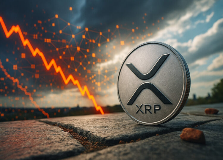 XRP defies bearish sentiment with active ledger and ETF inflows