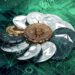 Crypto Faces Four Days That Could Reset the Rest of 2026