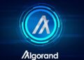 Algorand (ALGO) Active Wallets Surge 30% in August Amid Mixed Metrics