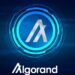 Algorand (ALGO) Active Wallets Surge 30% in August Amid Mixed Metrics