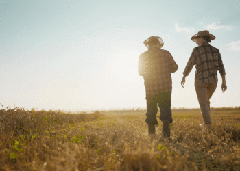 A 52-Year-Old Mississippi Farmer Faces Elon Musk’s Data-Center Push
