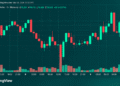 Bitcoin Price Roars Back From $77,603 as Bulls Eye $80,000