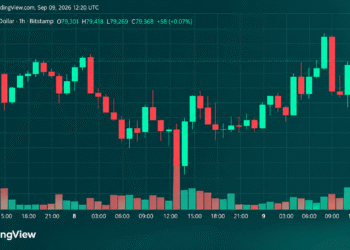 Bitcoin Price Roars Back From $77,603 as Bulls Eye $80,000