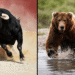 Bitcoin Price Predictions Pit $400K Bulls Against $10K Bears