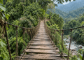 Deep in Mexico’s Jungle, Police Found 300 Crypto Miners Humming