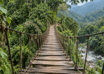 Deep in Mexico’s Jungle, Police Found 300 Crypto Miners Humming