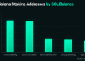 Inside Solana’s Staking Giants and the Mystery Whales With Billions