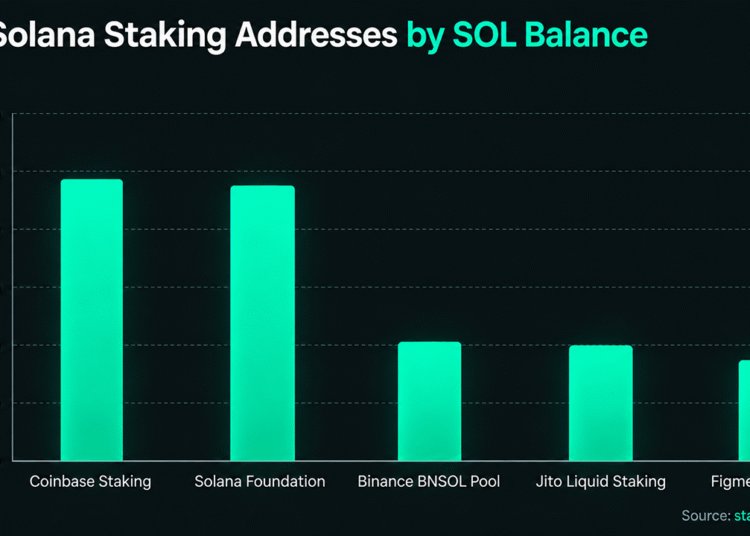 Inside Solana’s Staking Giants and the Mystery Whales With Billions
