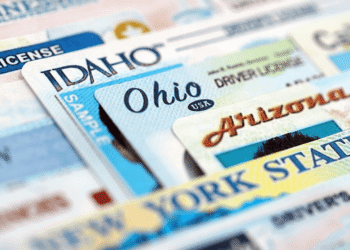 Nexus ID Breach Exposes a Blueprint for Fraud, Experts Warn
