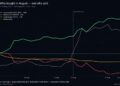 Bitcoin Price Rally Hid a 60,000 BTC Whale Buying Spree