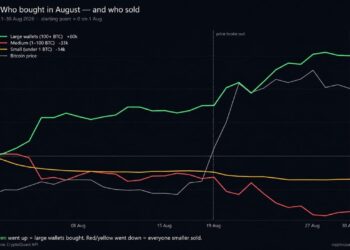 Bitcoin Price Rally Hid a 60,000 BTC Whale Buying Spree
