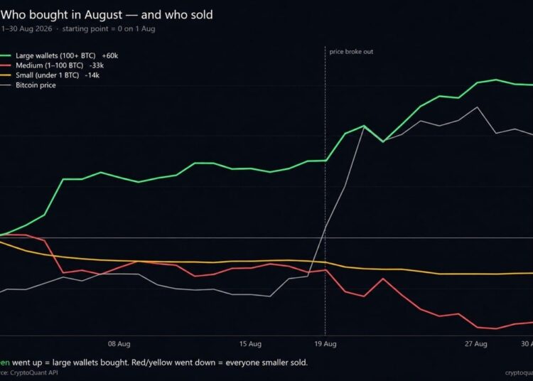 Bitcoin Price Rally Hid a 60,000 BTC Whale Buying Spree